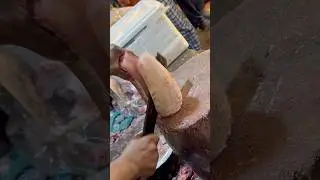 Amazing Fish Cutting Skills | Expert Fish Cutter