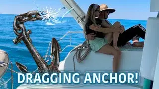 Sneaky Cat Tax, Engine Trouble & Our First Anchor Drag | LBW Adventures Sailing