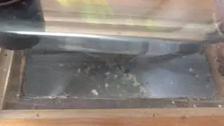 Dryer Vent Cleaning Denver NC- Heaven's Best