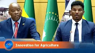 Africa's Challenges Catalysts for Digital Agriculture Innovation: Ministry