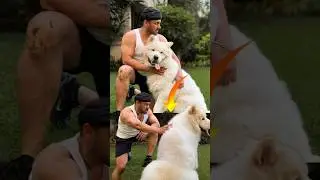 Salman Khan Poses with His Pet Dog in a Heartwarming Photo#SalmanKhan #doglover #dog