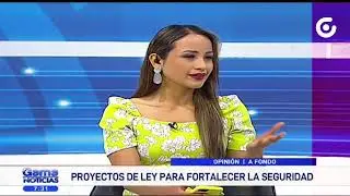PROYECTOS DE LEY PARA FORTALECER LA SEGURIDAD I 19-FEB-2024