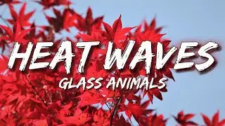 Glass Animals - Heat Waves (Lyrics) | Its June Again