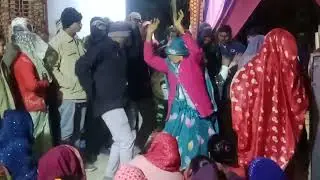 नचत बब्बर शेर रे #dance #bhajan #song #bhakti song #reels #vairalvidio #istragram #fecebook 