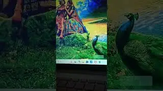 chrome nahi show Ho raha hai windows 11 me problem,, solution of windows 11 problem, fix windows 11