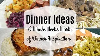 Dinner Ideas I What's for Dinner? I Dinner Inspiration I What we had for dinner this week I