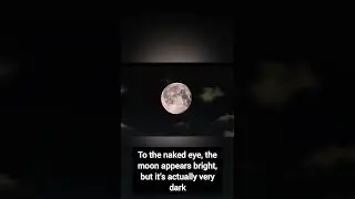 Amazing Facts About Moon | #shorts | #moon | #amazingfacts | Zail Facts