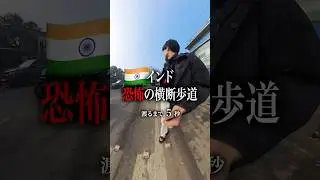 【最後まで見て】インドの横断歩道#海外 #海外ひとり旅 #インド #横断歩道#shorts