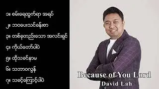 Saya David Lah Collection songs || Because of you Lord ||