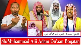 AGM: Sh/Muhammad Alii Aadam Walloo ( الشيخ محمد علي آدم الأثيوبي ) Du'aan Addunyaa Kanarraa Boqatan