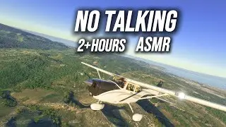 Scenic South Coast Flight | KLAX Southbound | Pacific Ocean (Clear Day)