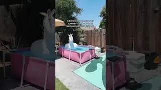 The best idea I have had for my backyard! This pink pool is everything! #abovegroundpool #pinkpool