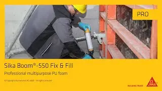 Sika Boom&reg; 550 Fix & Fill for professional use