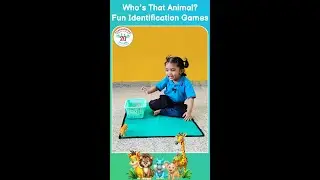 Fun Animal Identification Montessori Activity