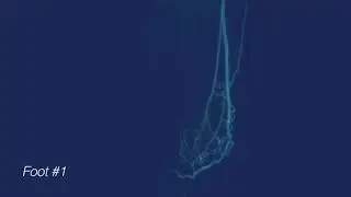 Pre and Post LimFlow
