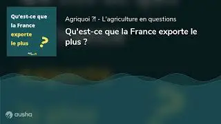 Qu'est-ce que la France exporte le plus ?