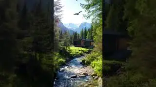 Hidden Alpine Retreat | Nature Sounds and Mountain Views #relax #woodlandambience #naturevideo