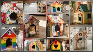Cute Cat House Design Ideas