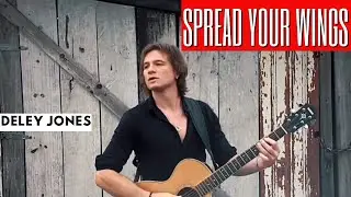 Deley Jones - Spread Your Wings (Queen) #queen #70s #bluegrass #queencover