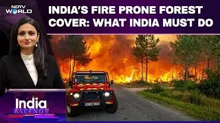 Europe On Fire: What Can India Learn? | Forest Fires, Heatwaves Takeover The World