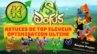 DEVENIR LE MEILLEUR ELEVEUR SUR DOFUS EN 2025 🔥 OPTIMISATION ULTIME 🔥