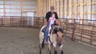 Woodrow, 2017 RHR Colt starting challenge