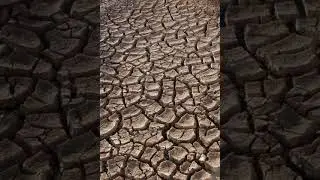 Drought | Wikipedia audio article