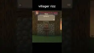 Do I Have Villager Rizz?