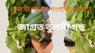Science and Myth Experiment in Assamese 109