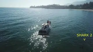White Sharks and Boat off of Padaro Lane on a Summer Day