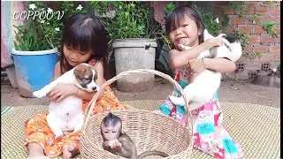 Oh !  Sister pisa pisey  take care Monkey Janny And Puppies Loukey  and Mikey
