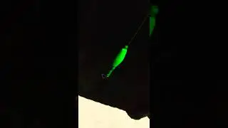 Custom SANTEE RIG 25 Lb Test 24 In Leader 3 oz Egg Slider 3 In THK FISH Float #fishing #kingkat