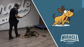 Fun Downstay Proofing Techniques With Murphy