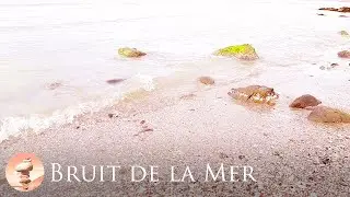 Bruit de la Mer sur un Sable de Coquillages, Bruit de la Mer Apaisant pour s'endormir Rapidement