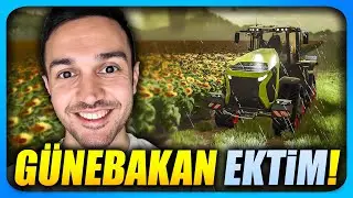 🌞 Tarlayı Güneşe Açtım! Günebakan İçin Zemin Hazırlığı | Farming Simulator 25 #38