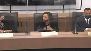 Mary Sheffield appointed president of Detroit City Council