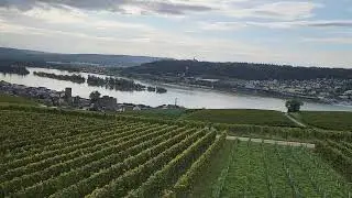 Ring Tour | Cable Car | R&uuml;desheim to Niederwalddenkmal | Rhine Valley | Vineyard | Germany (part 2)