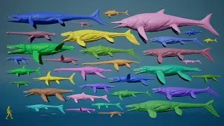 Ancient Marine Reptiles | 3D Size Comparison
