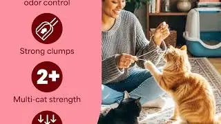 🐾 Fresh Step Multi-Cat Clumping Litter &ndash; 15 Days of Freshness & Odor-Free Living!