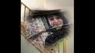 marta bosch barber 3