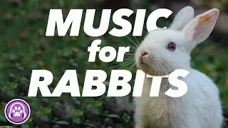 Music for Rabbits | SUPER SOOTHING Relaxation Music | Cute Bunny Videos 🐰