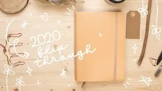My 2020 Bullet Journals flip-through | frai.oh