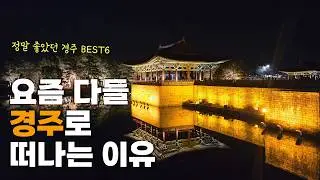 경주 가면 무조건 여기⭐만족했던 추천 여행지 BEST6