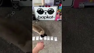 Карты против человечества