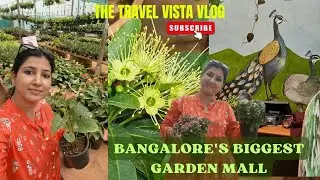 Biggest Plant Nursery in Bangalore | Bangalore's Garden Mall | Explore Bangalore | The Travel Vista