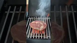 🤔Jaki Grill kupić za 3 tys? #grill #broilking #royal340 #grillgazowy #salo grilli #kupgrill #bbq