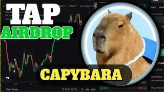 Capybara Airdrop | Capybara TGE | Capybara Listing Date | Capybara Token Listing Exchange |