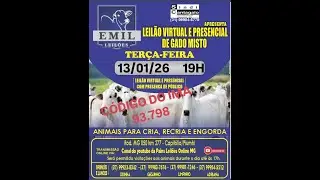 127º Leilão Virtual - EMIL Leilões - Capitólio/Piumhi - MG