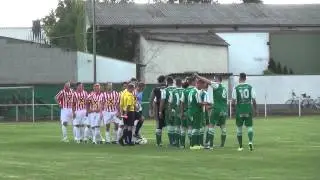 UFC Tadten gegen SC Breitenbrunn 2:0 (0:0)