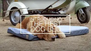 INTRODUCING: HEST DOG BED | Ultimate camping with dogs | Comfortable Dog Travel Bed